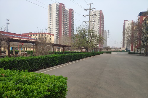 鐵路技校春天的景色 校園環(huán)境 第3張